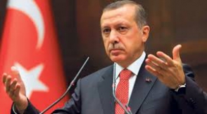 Эрдоган заявил о «национальной мобилизации»